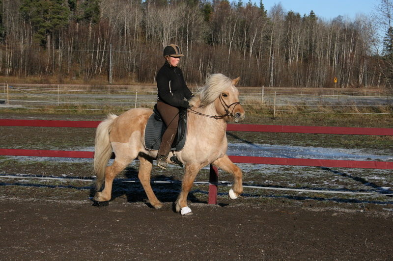 fylkir10110870.JPG