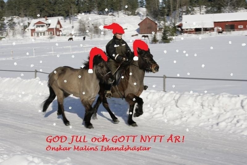 julbild.jpg