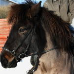 oltolt2011 001.JPG