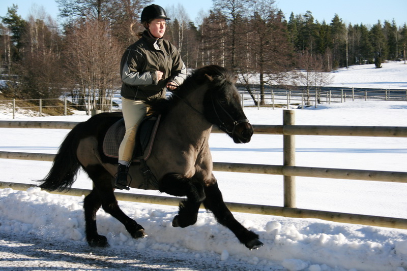 oltolt2011 022.JPG