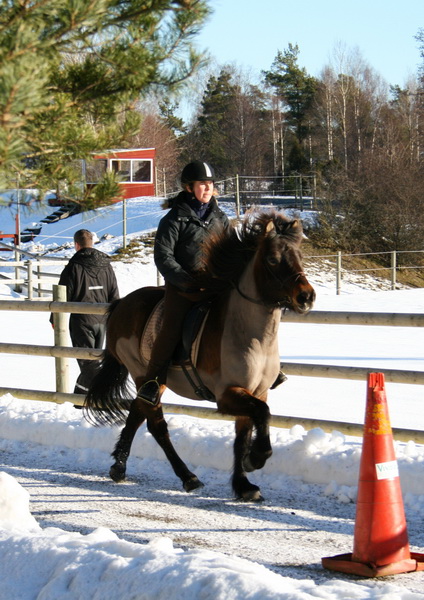 oltolt2011 028.JPG