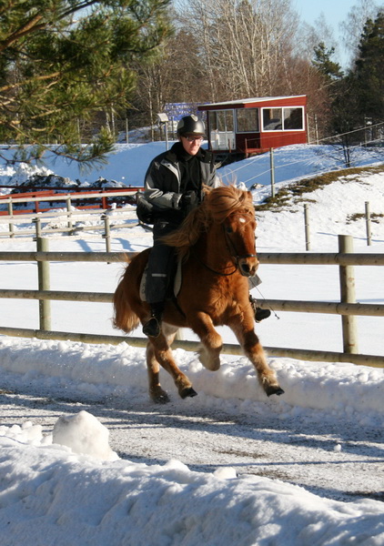 oltolt2011 047.JPG