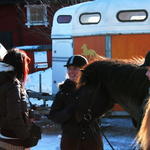 oltolt2011 166.JPG