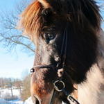 oltolt2011 182.JPG