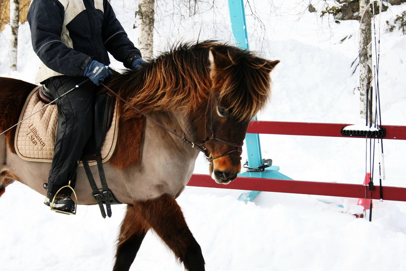 februari201105.JPG