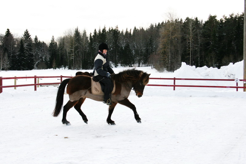 februari201110.JPG