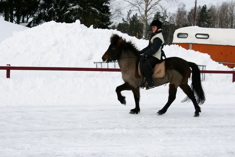 februari201117.JPG