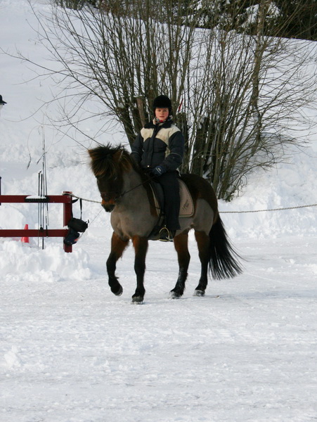 februari201132.JPG