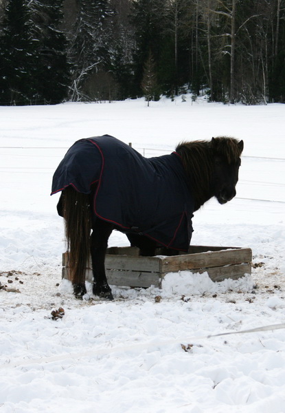 februari201112.JPG