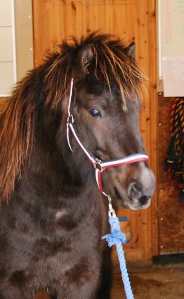 Greidifeb201102.JPG