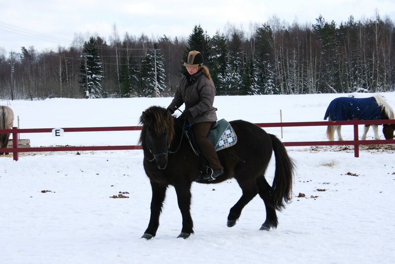 Greidifeb201104.JPG