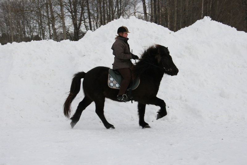 Greidifeb201147.JPG