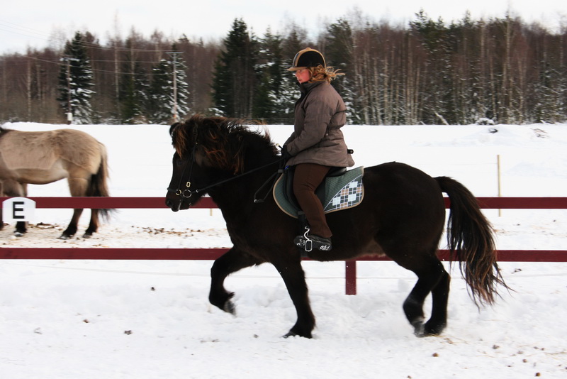 Greidifeb201177.JPG