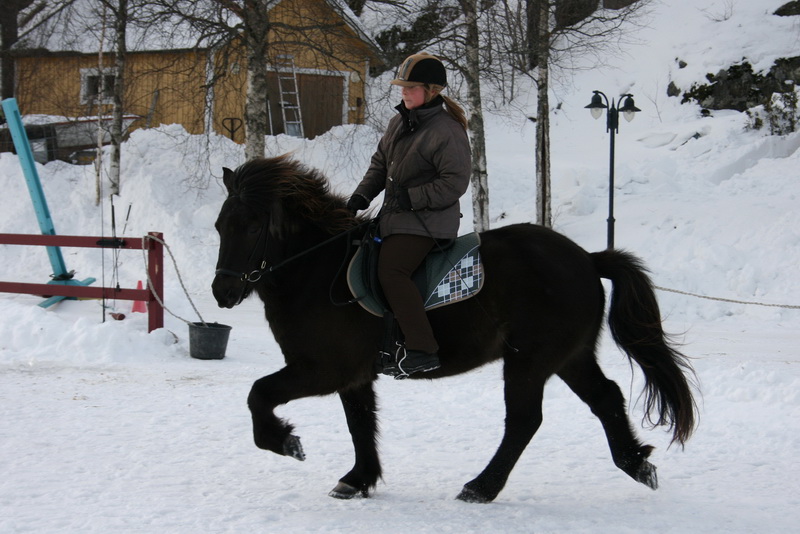 Greidifeb201187.JPG