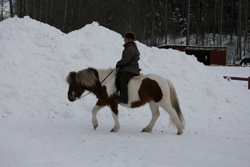 Finafeb201102.JPG