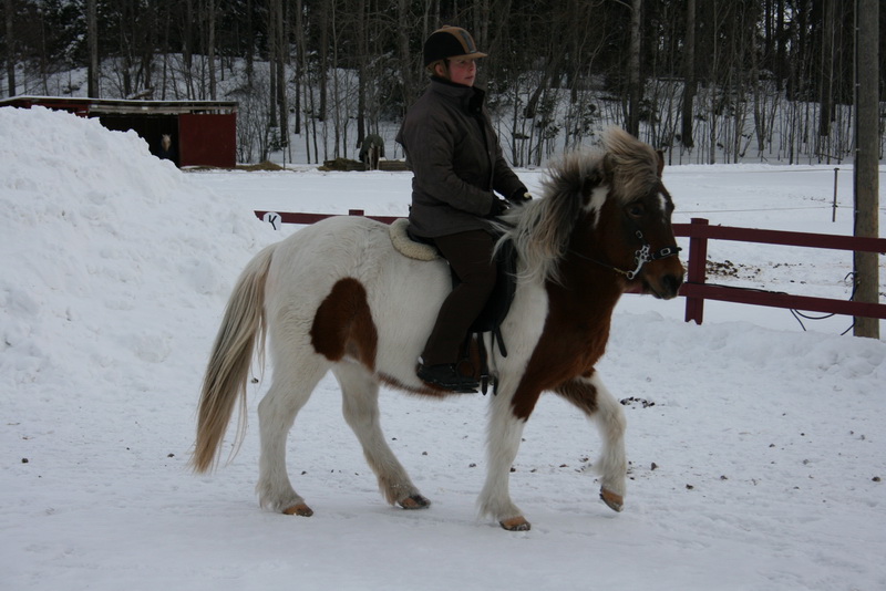 Finafeb201120.JPG