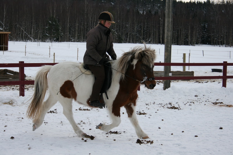 Finafeb201147.JPG