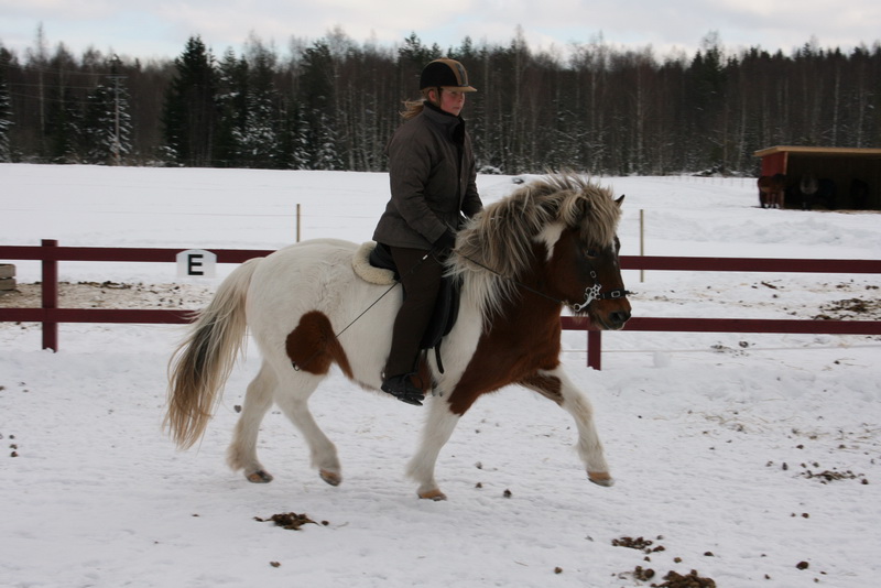 Finafeb201173.JPG
