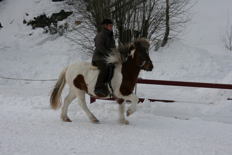 Finafeb201178.JPG