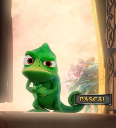 tangled_pascal_1600.jpg