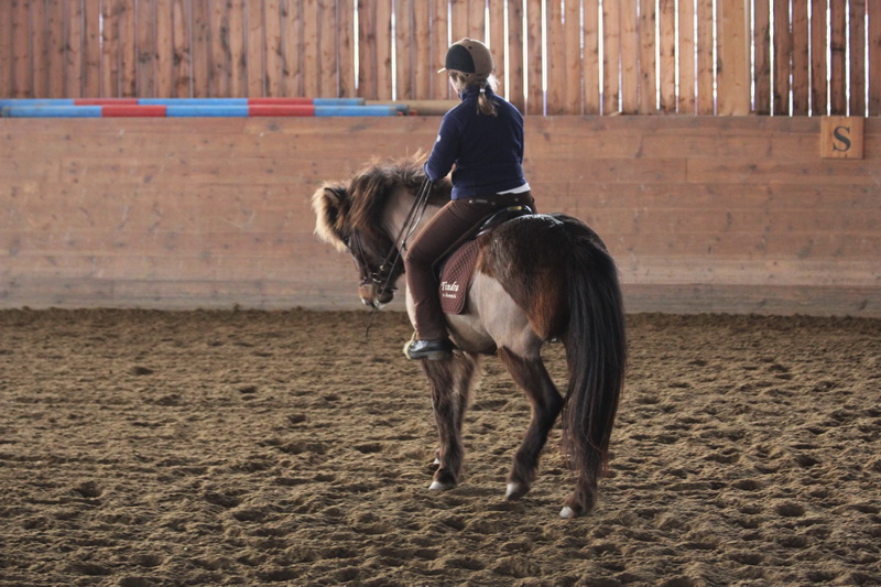 Tindra_Hinnikurs_mars201109.JPG