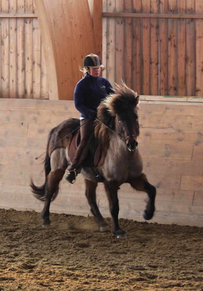Tindra_Hinnikurs_mars201120.JPG