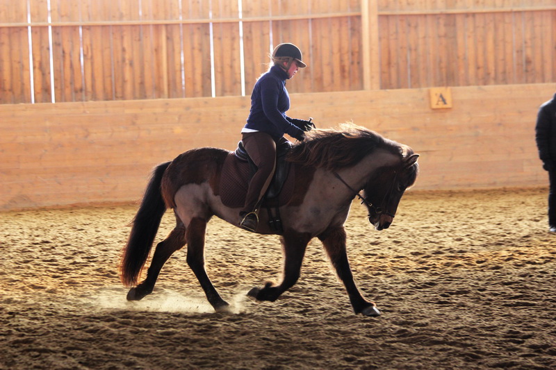 Tindra_Hinnikurs_mars201133.JPG