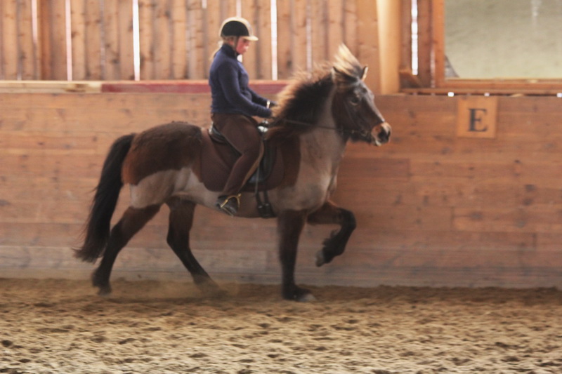 Tindra_Hinnikurs_mars201146.JPG