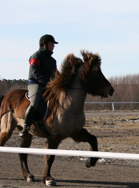 ornasmarskval32.JPG