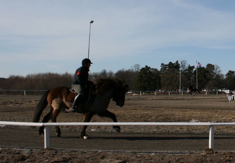 ornasmarskval42.JPG