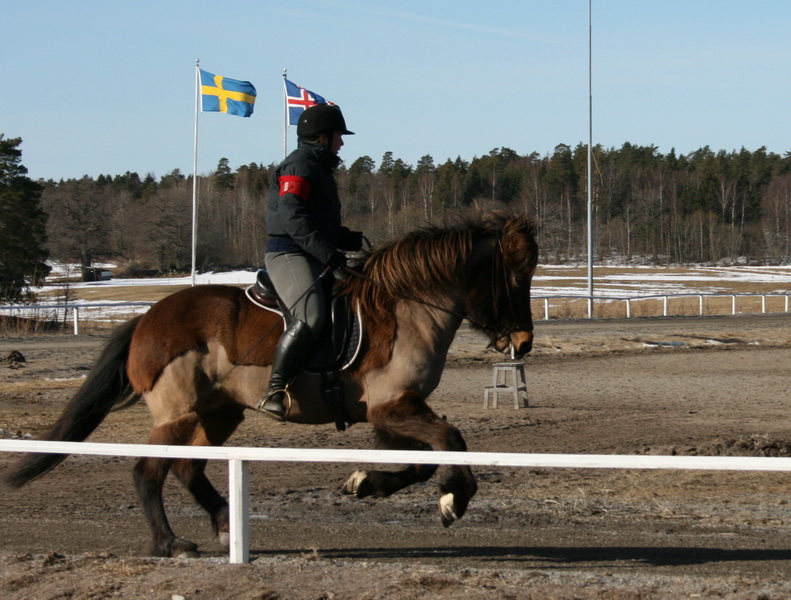 ornasmarskval48.JPG