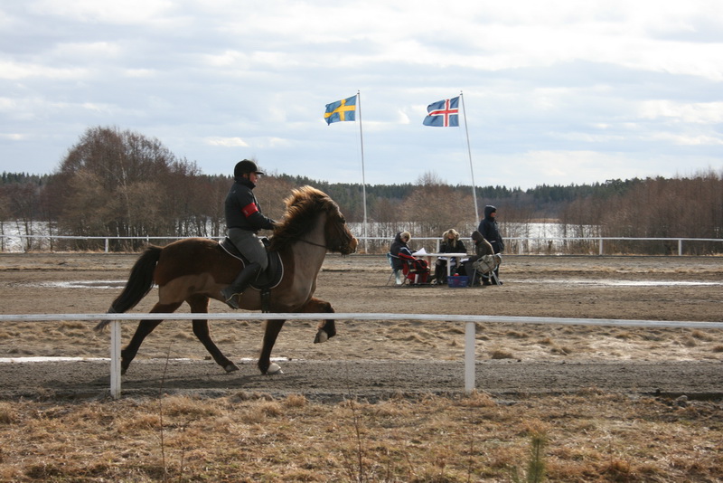 ornasmarskval80.JPG