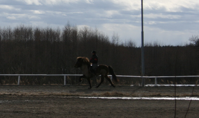 ornasmarskval88.JPG