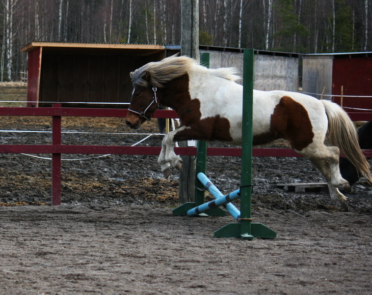 aprildag2011_22.JPG