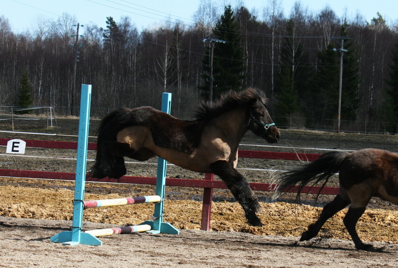 aprildag2011_31.JPG
