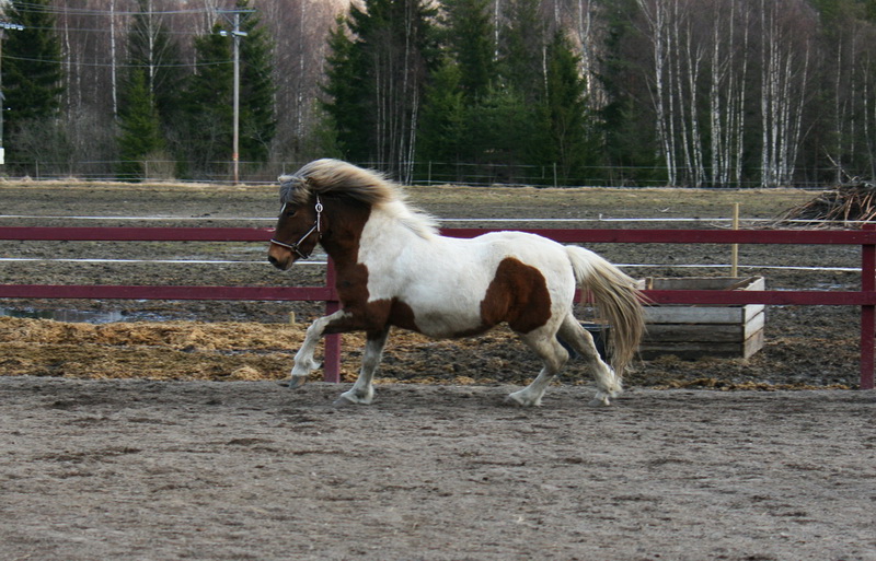aprildag2011_13.JPG
