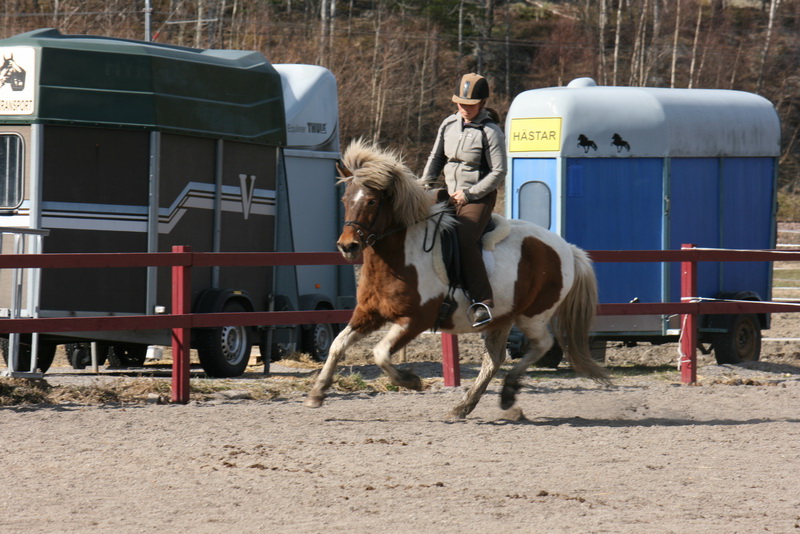 16aril201146.JPG