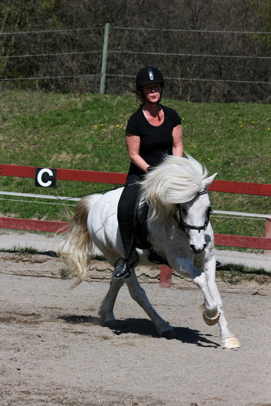Valigalopp 180.JPG