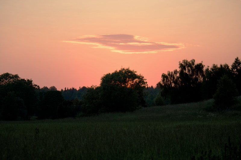 IMG_6250.jpg