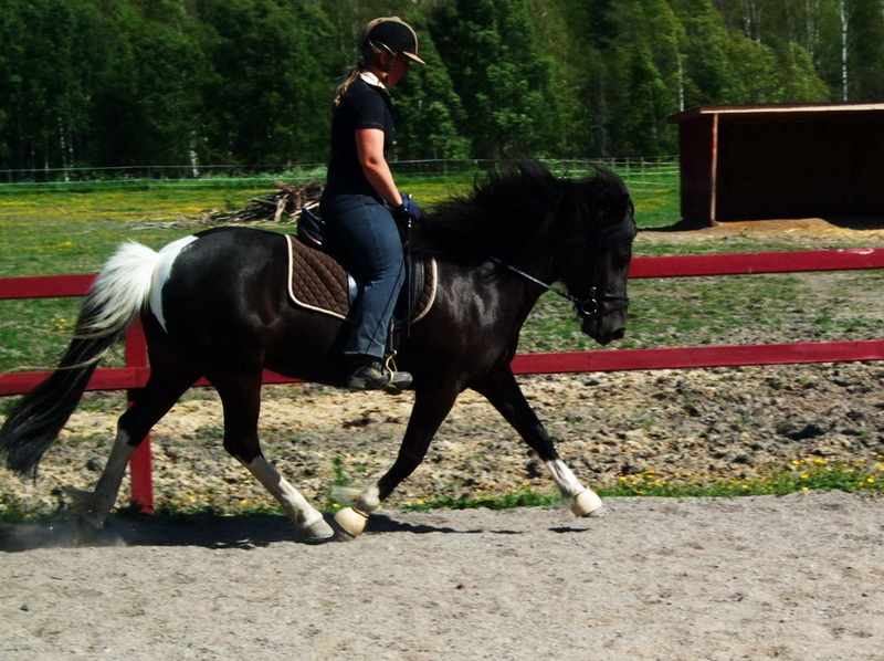 perla061302.JPG