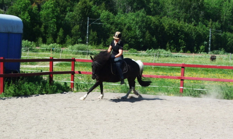 perla061304.JPG