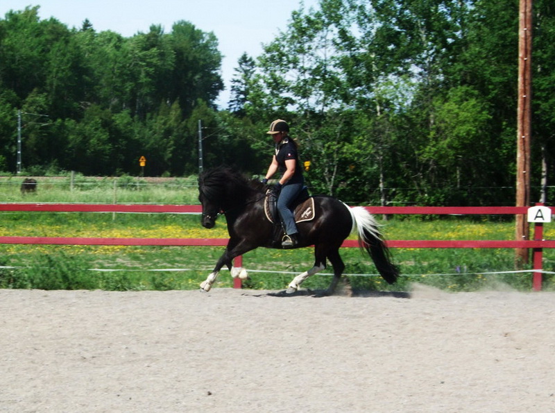 perla061305.JPG