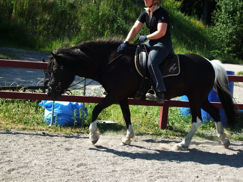 perla061306.JPG