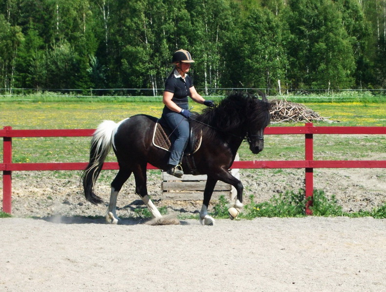 perla061307.JPG