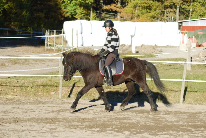 freyr20101.jpg
