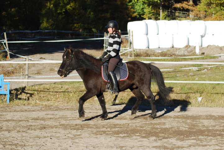 freyr20102.jpg