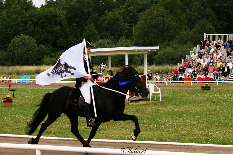 IMG_8176klippt.JPG