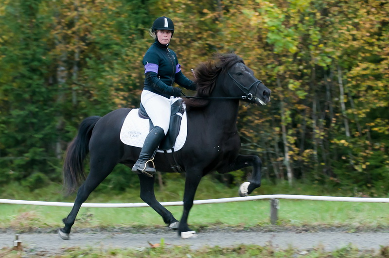 hrimfaxihost2010liten.jpg