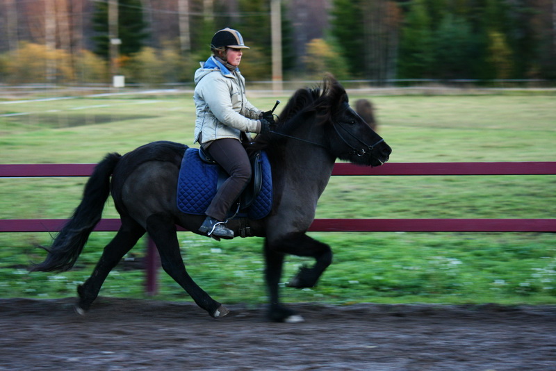 myrkva21okt06.JPG