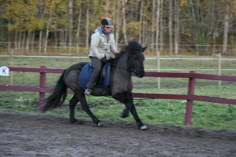 myrkva21okt11.JPG